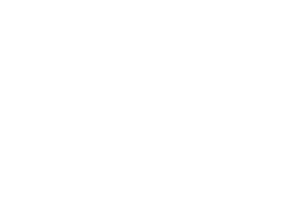 ODİN